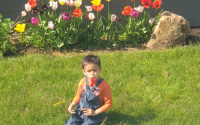 A Spring Garden Day
